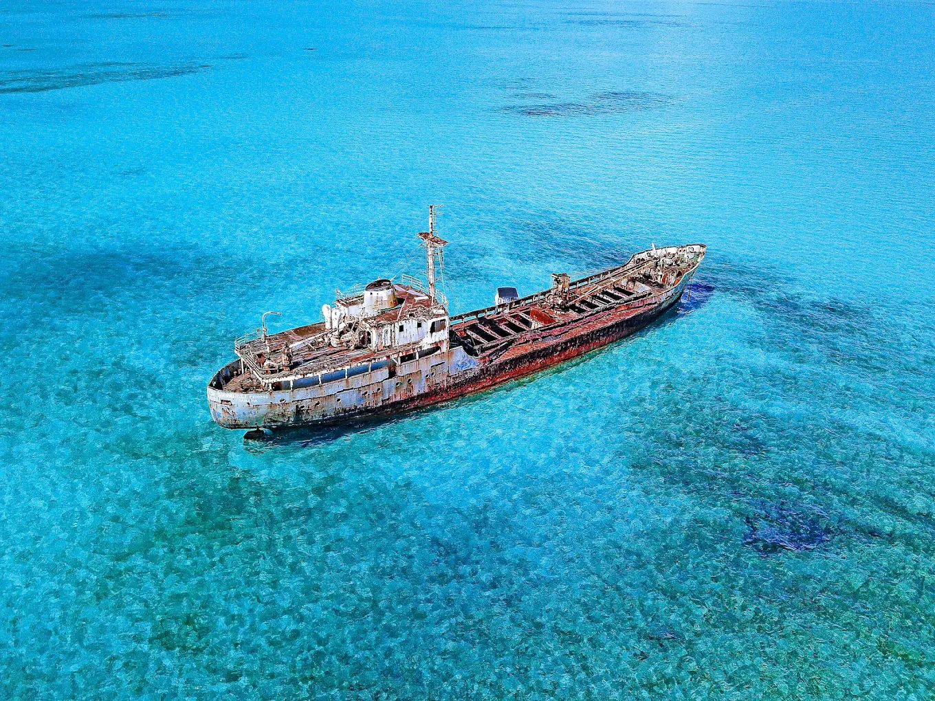 Experience the Best Boat Tours